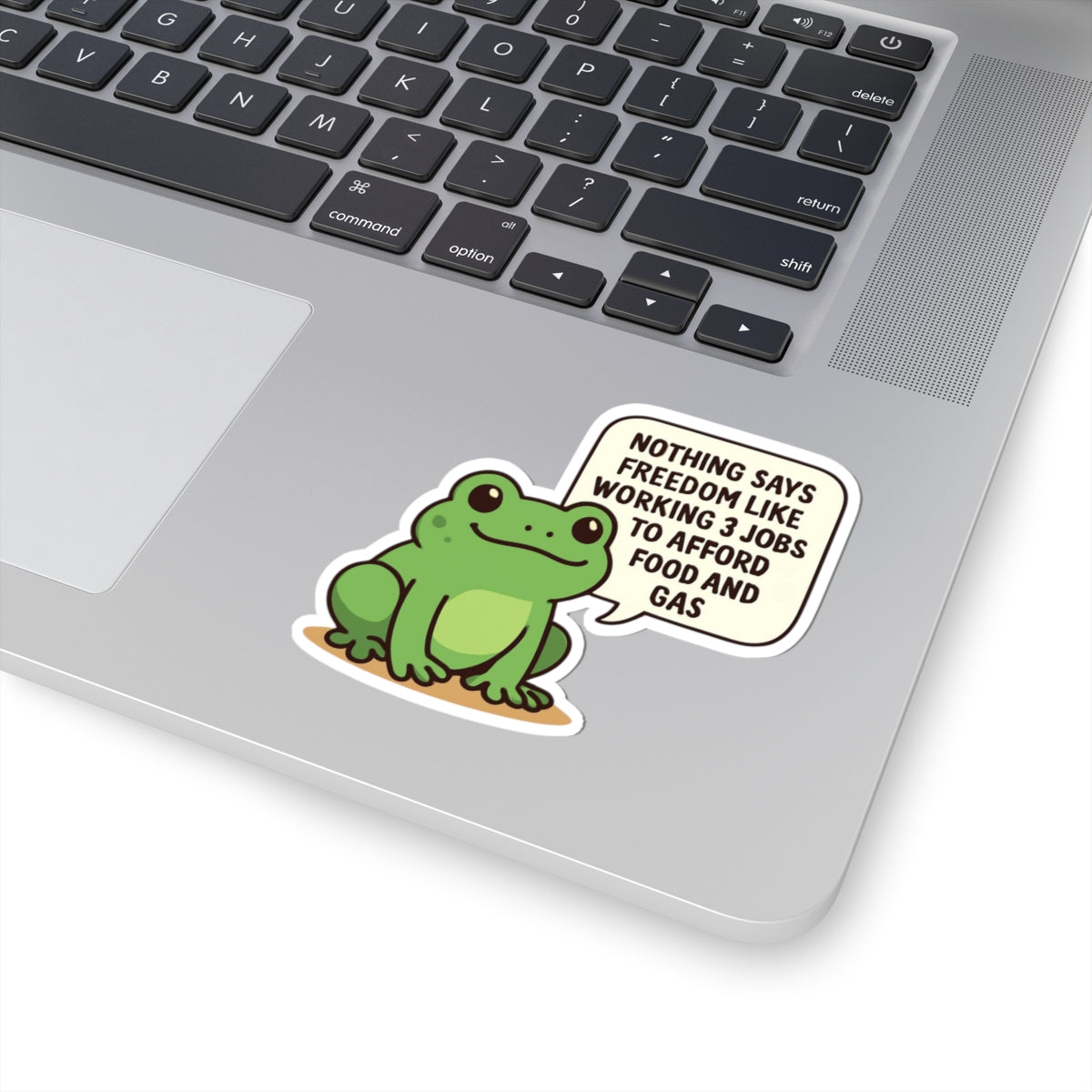 Funny Cute Frog Inflation Sticker, Sarcastic Anti Trump Quote Decal, Water Bottle Phone Case School Meme Protest Political Group Favor Gift