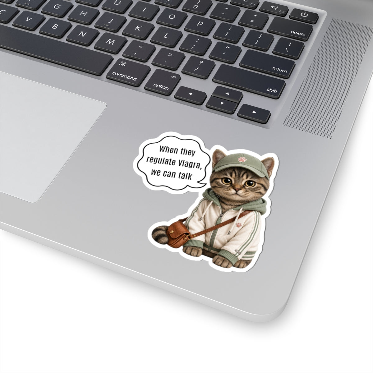Funny Pro Choice Cute Cat When They Regulate Viagra Sticker, Feminist Reproductive Freedom Decal, Progressive Political Satire Protest Humor
