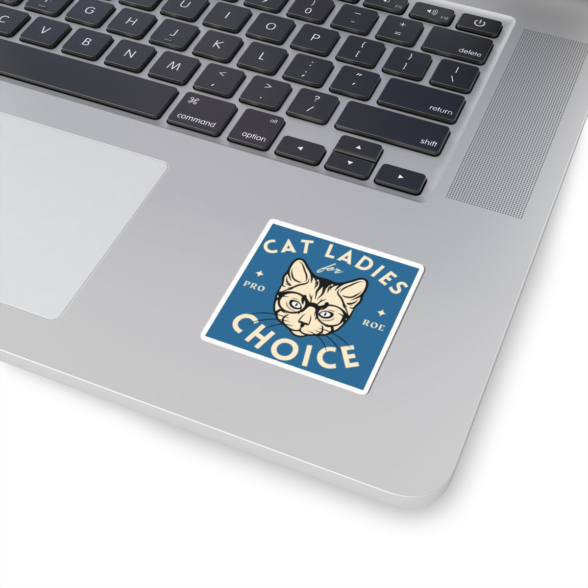 Cat Ladies for Choice Sticker, Funny Feminist Pro Roe Decal, Women's Reproductive Rights, Activist Equality Gift, Democrat Group Favor