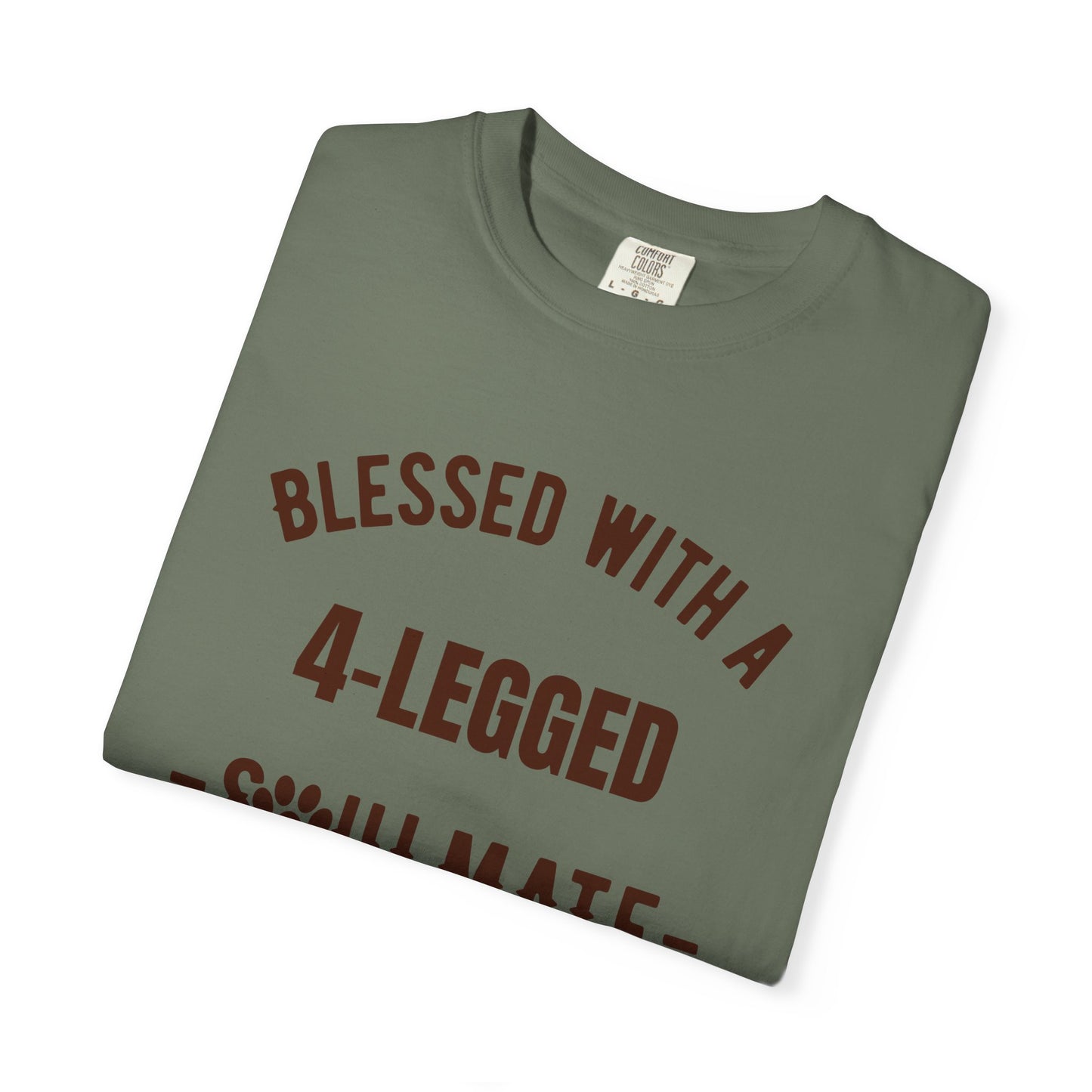 Blessed with a 4-Legged Soulmate T-Shirt
