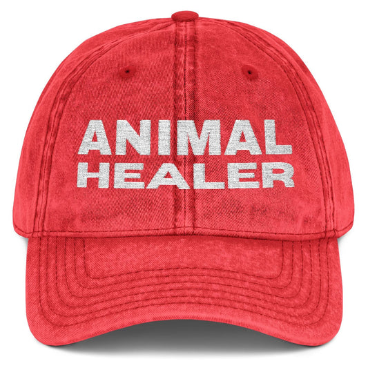 Animal Healer Custom Veterinarian Vintage Embroidered Cap