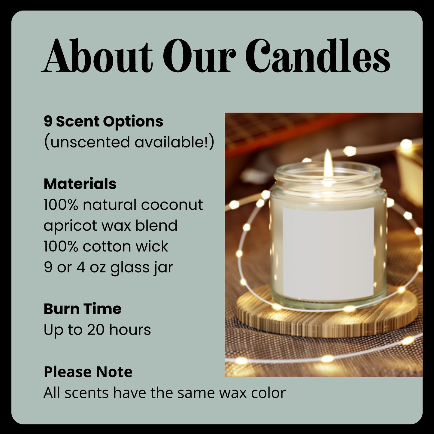 If My Dog Doesn't Like You Dog Lover 9 oz Scented Candle